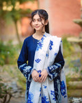 Luxury Dhanak Emb 3Pc D-06