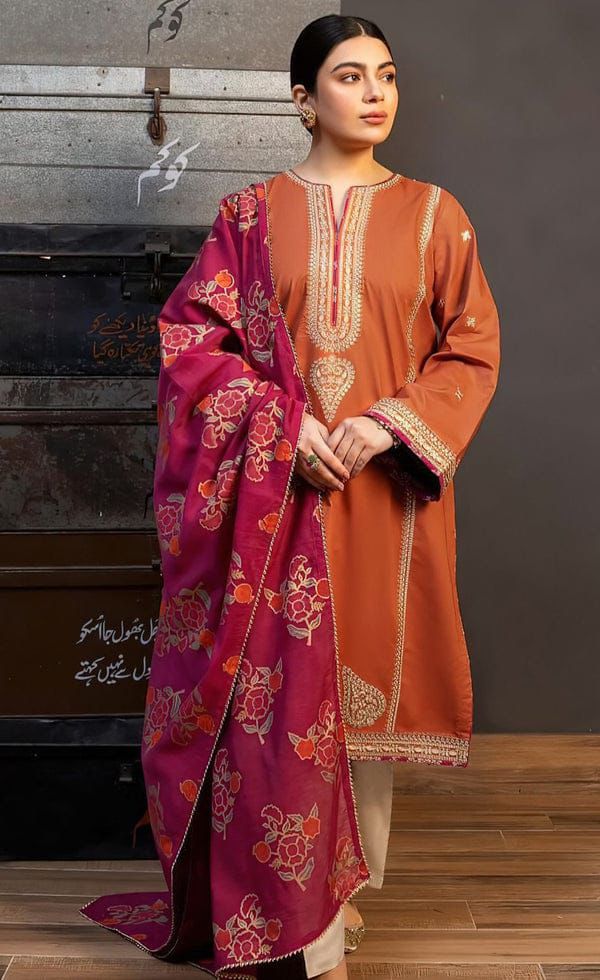 DHANAK 3pc Heavy Embroidered