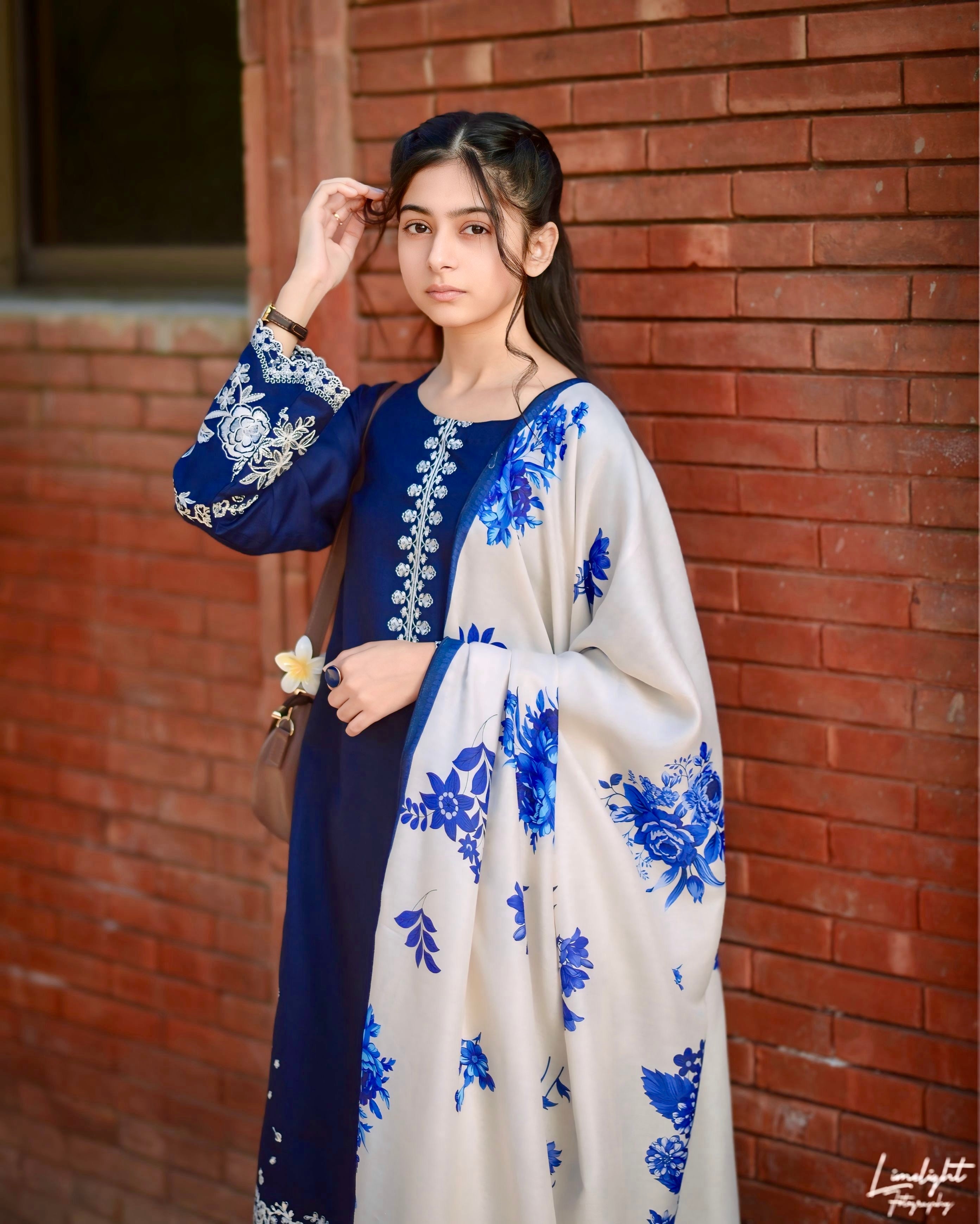 Luxury Dhanak Emb 3Pc D-06